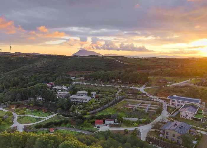Kairos Valley Wellness & Longevity Datça
