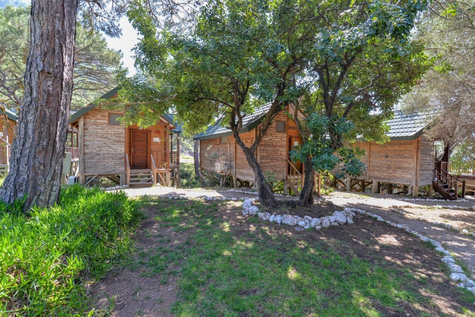 Pine Houses Sea View