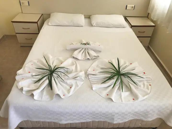 One-Bedroom Apartment,1678650779:JPEG