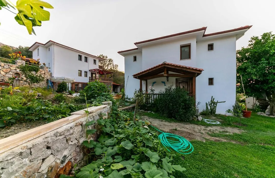 Villa Jasmin Daily Weekly Rentals-1