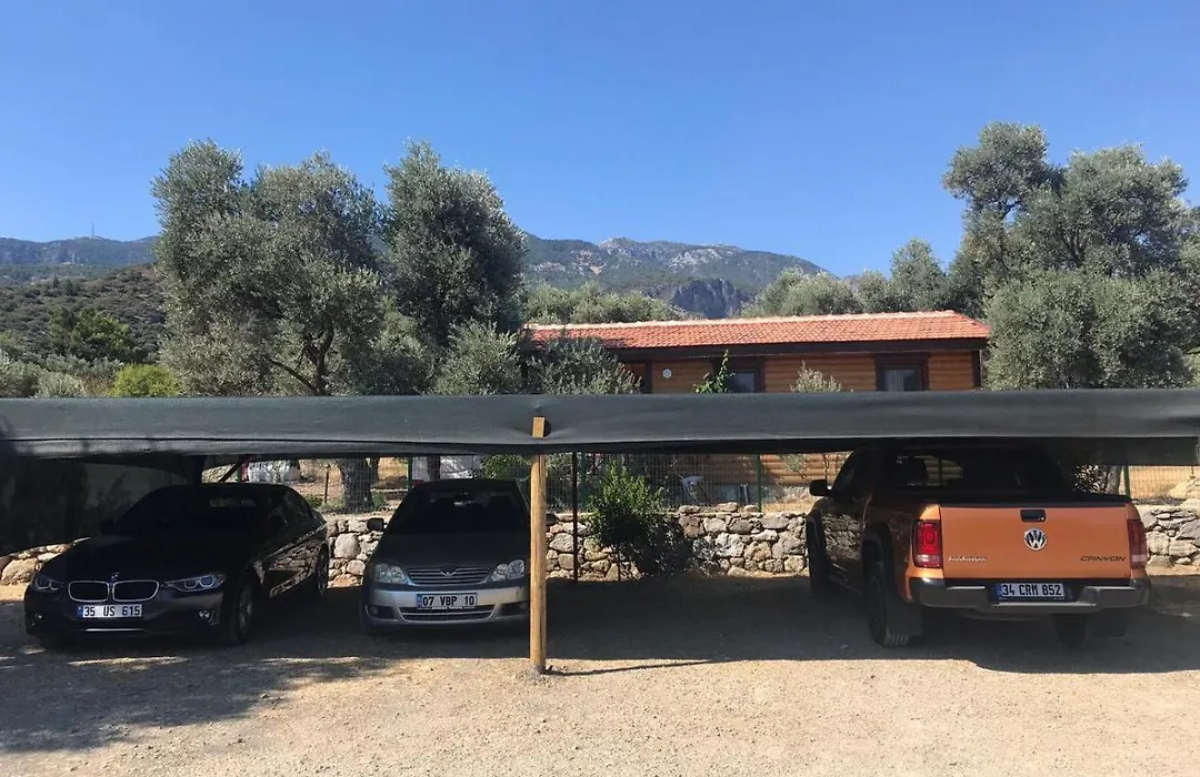 Oliva Casa Datca-1