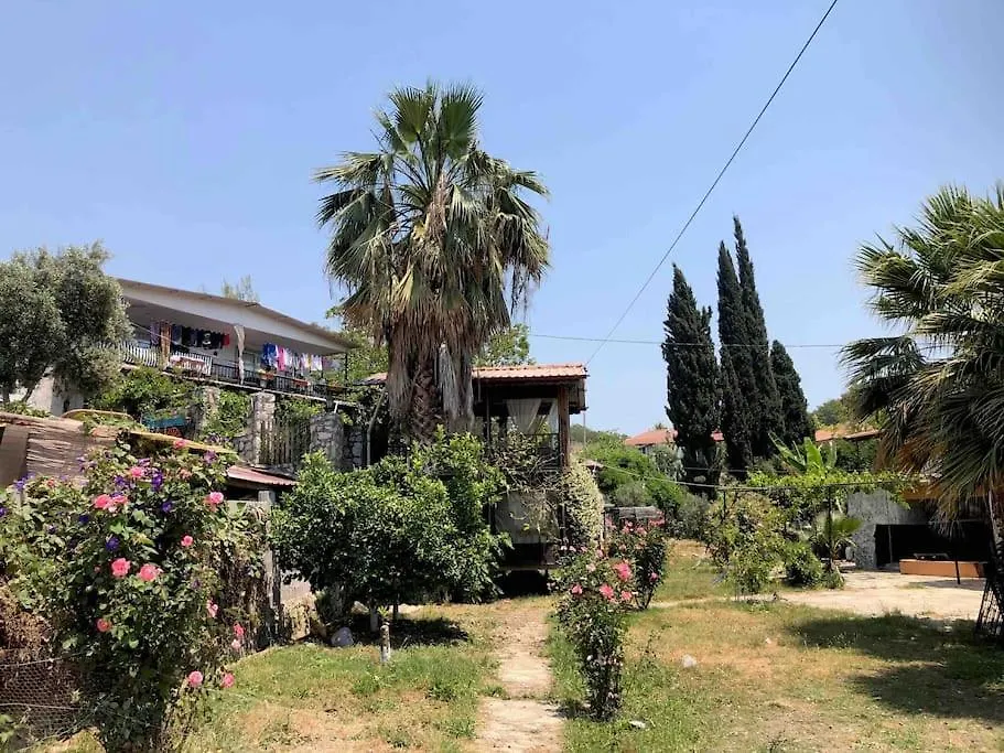 Zirkon Doga Butik Otel-1