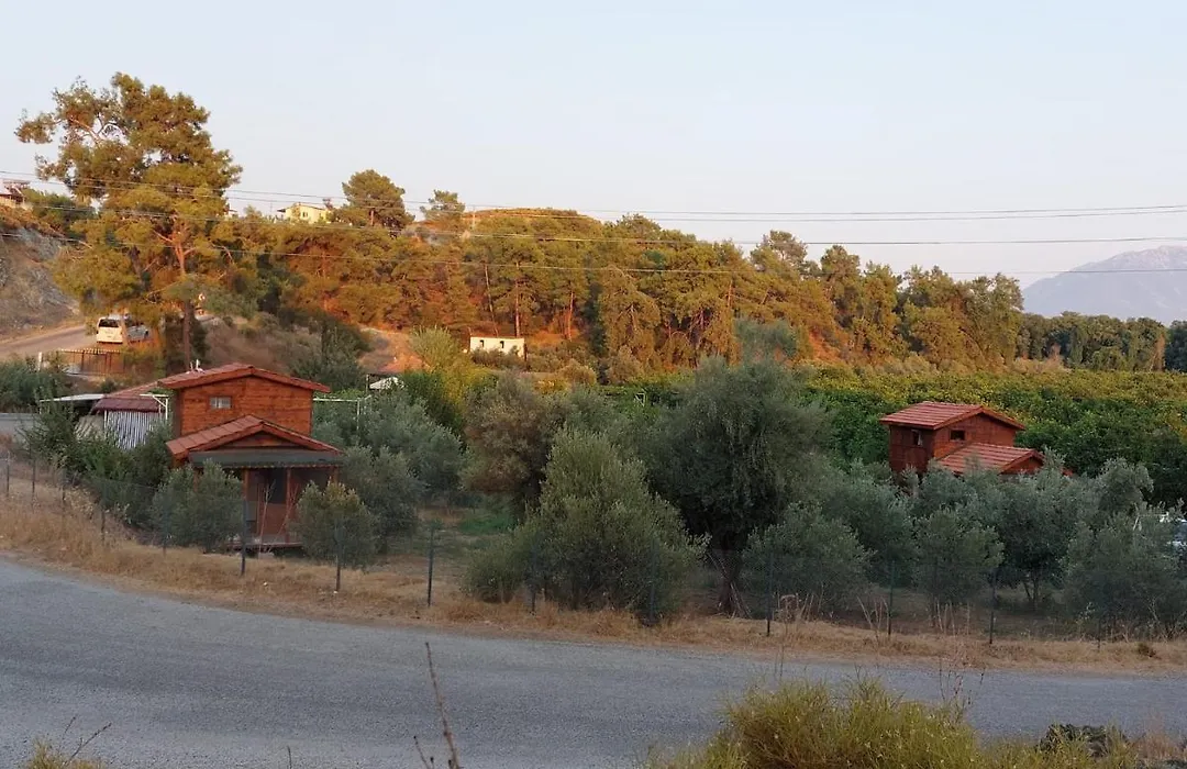 Olive Garden Bungalow-1