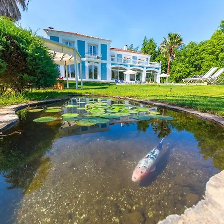 Villa Zarik-2