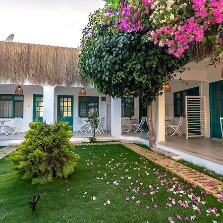 Avlu Otel Palamutbükü-2