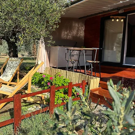 Alpinia Houses&Garden-2