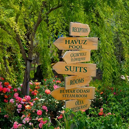 Olive Farm Of Datca Guesthouse (Adults Only)-2