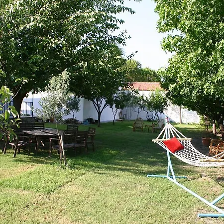 Noda Apart (Adults Only)-3