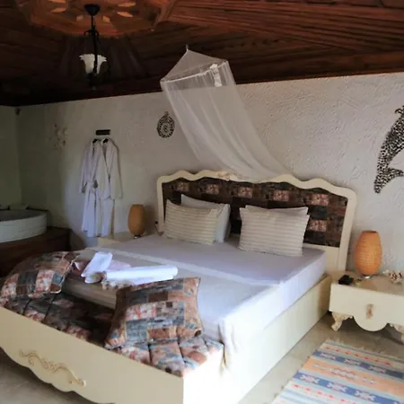 Dolphin Hotel-3