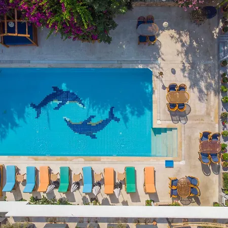 On Oda Oludeniz-2