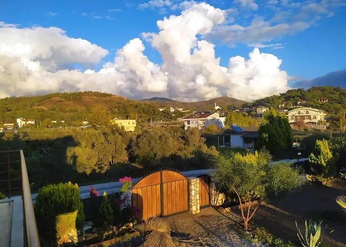 Pet friendly Chillsteps Hostel Fethiye