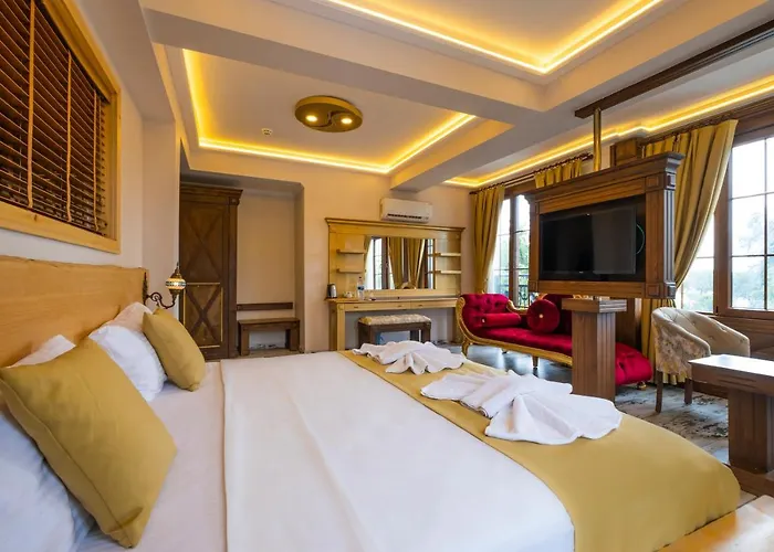 Fethiye Dog Friendly Hotels near Old Town