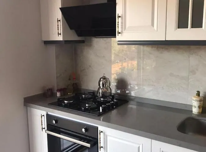 Pet friendly Dirlik Suit Fethiye