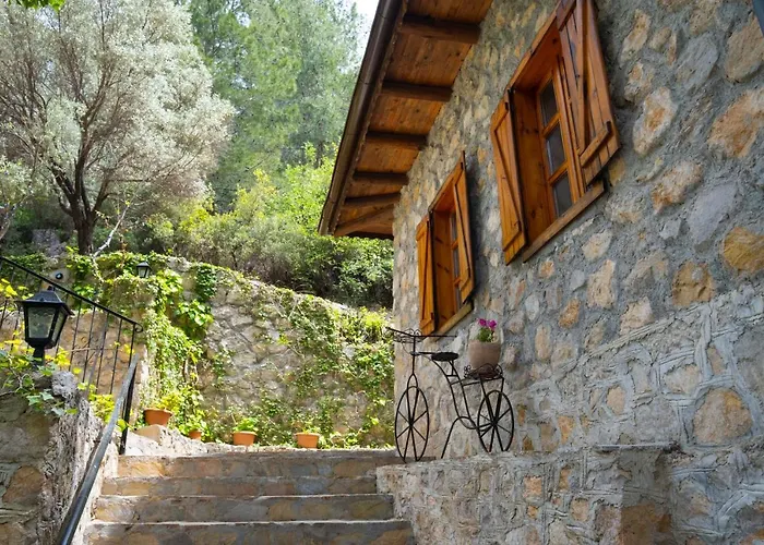 Pet friendly Watermill Villa & Hotel Faralya Fethiye