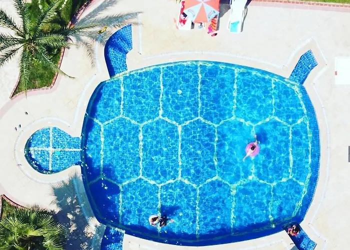 Turtle Apartments Cedit