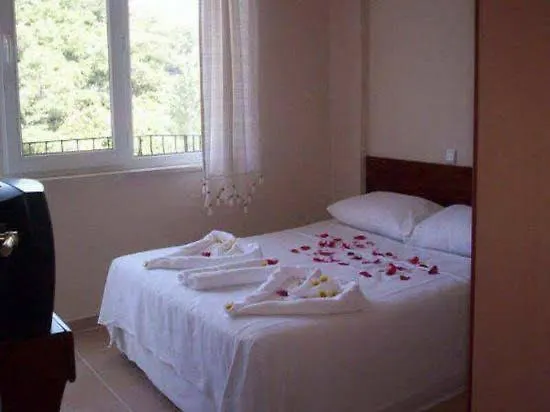 Huisdiervriedelijke New Golden Gate Hotel Fethiye