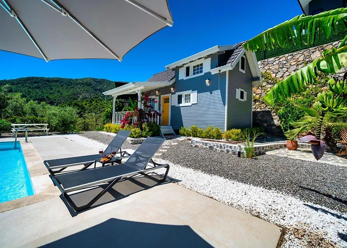 Pet friendly The Box House & Charming Private Tiny House & Pool Villa Gocek 