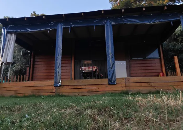 Haustierfreundliches Hotel Tiny Mini House Dalaman