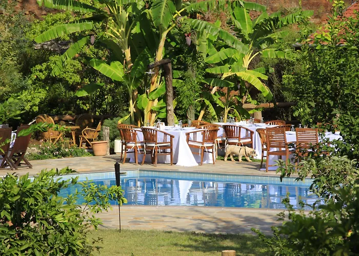 Hotel Dalya Life Göcek
