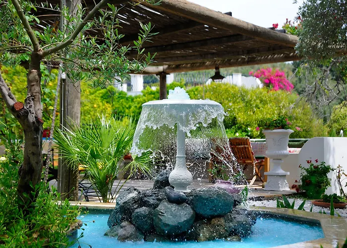 Haustierfreundliches Olive Farm Of Datca Guesthouse (Adults Only)